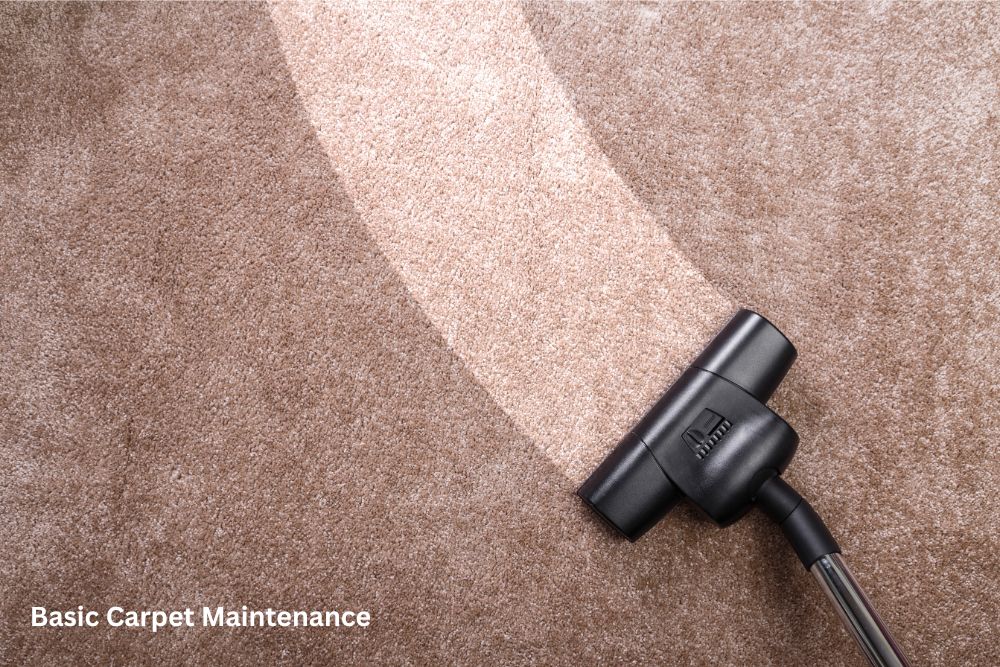 Carpet floor cleaning | Country Manor Decorating