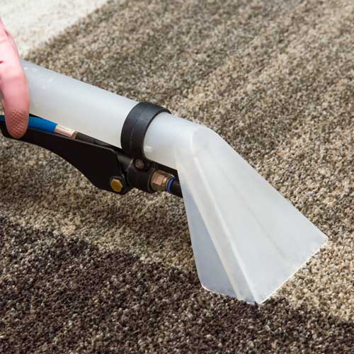 Carpet Cleaning | Country Manor Decorating